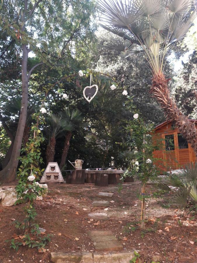 Il Gatto E Il Violino Βίλα Lido di Fermo Εξωτερικό φωτογραφία